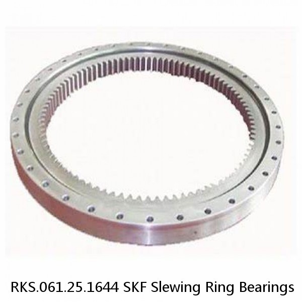 RKS.061.25.1644 SKF Slewing Ring Bearings