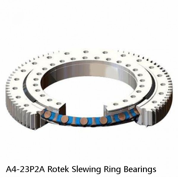 A4-23P2A Rotek Slewing Ring Bearings #1 small image