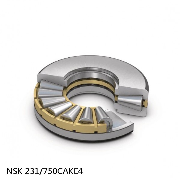 231/750CAKE4 NSK Spherical Roller Bearing #1 small image