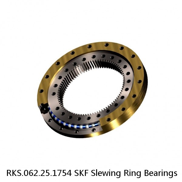RKS.062.25.1754 SKF Slewing Ring Bearings #1 image