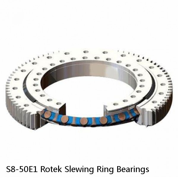 S8-50E1 Rotek Slewing Ring Bearings #1 image