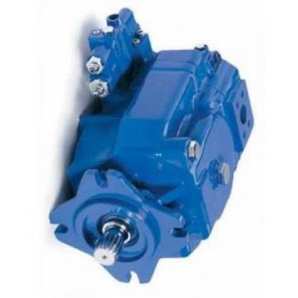 Denison PV15-2R5D-C00 Variable Displacement Piston Pump #1 image