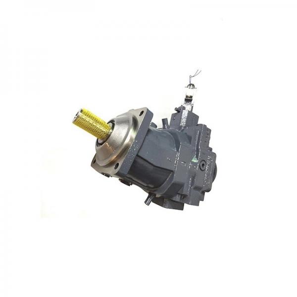 Denison PV10-1L1C-F00 Variable Displacement Piston Pump #1 image