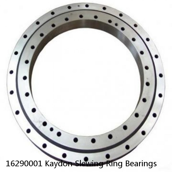 16290001 Kaydon Slewing Ring Bearings #1 image