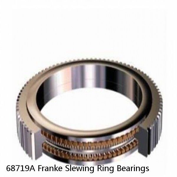 68719A Franke Slewing Ring Bearings #1 image