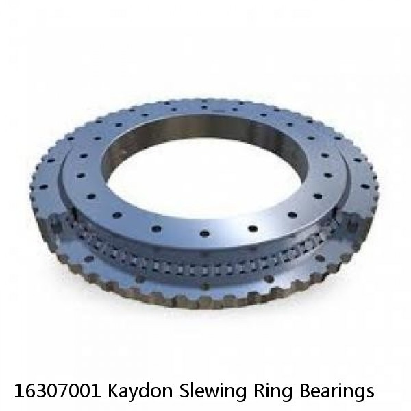16307001 Kaydon Slewing Ring Bearings #1 image