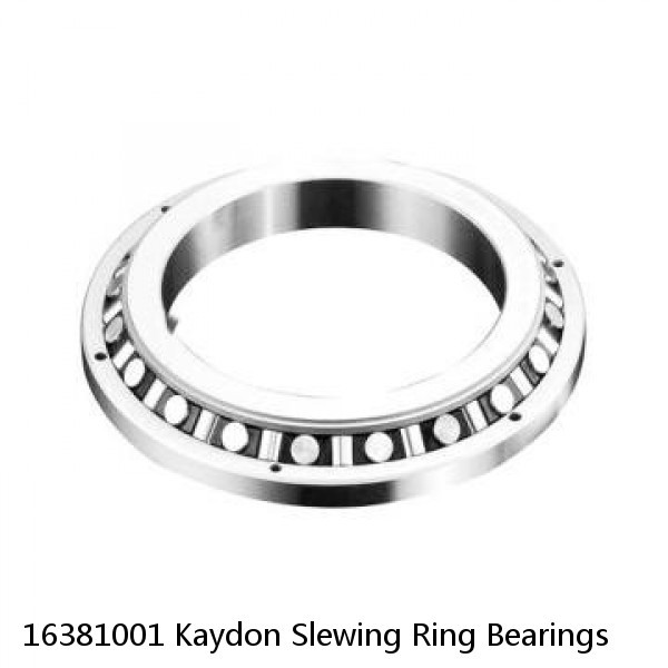 16381001 Kaydon Slewing Ring Bearings #1 image