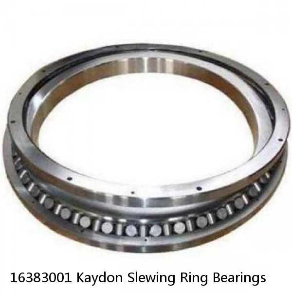 16383001 Kaydon Slewing Ring Bearings #1 image