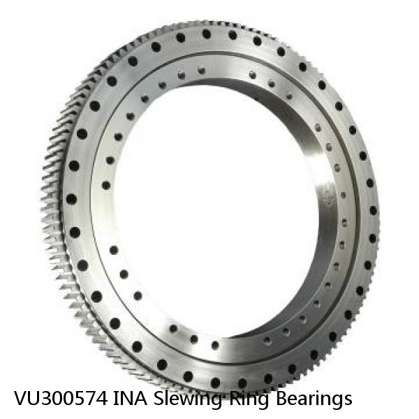 VU300574 INA Slewing Ring Bearings #1 image