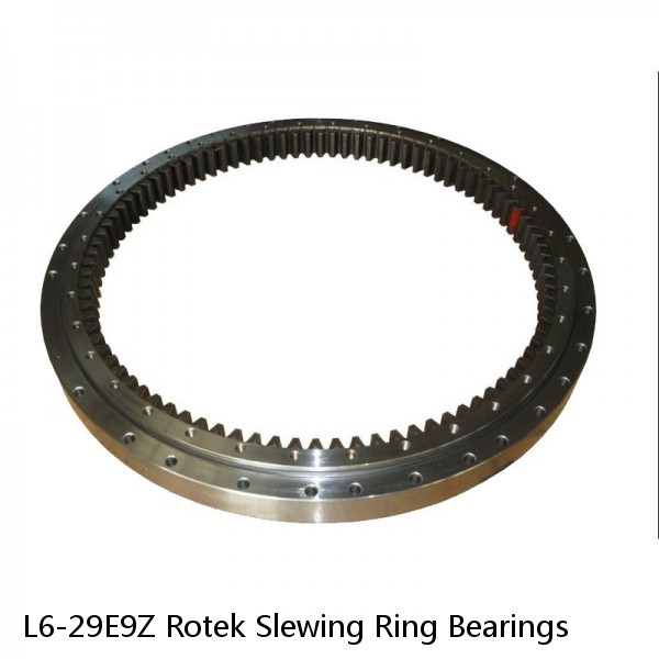 L6-29E9Z Rotek Slewing Ring Bearings #1 image