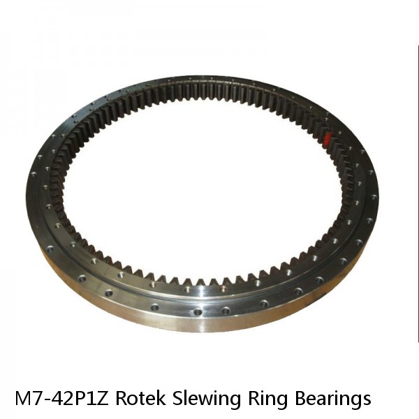 M7-42P1Z Rotek Slewing Ring Bearings #1 image